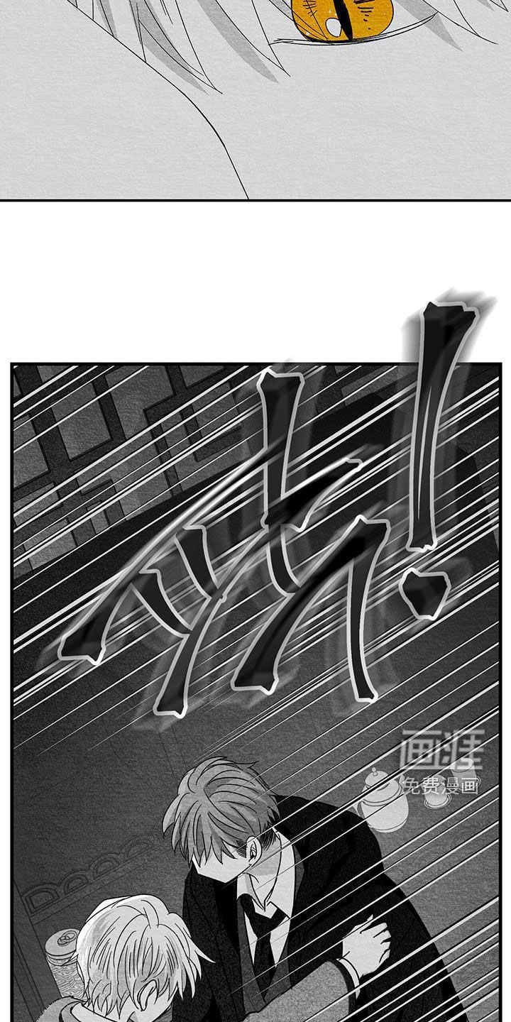第66章：太混乱了