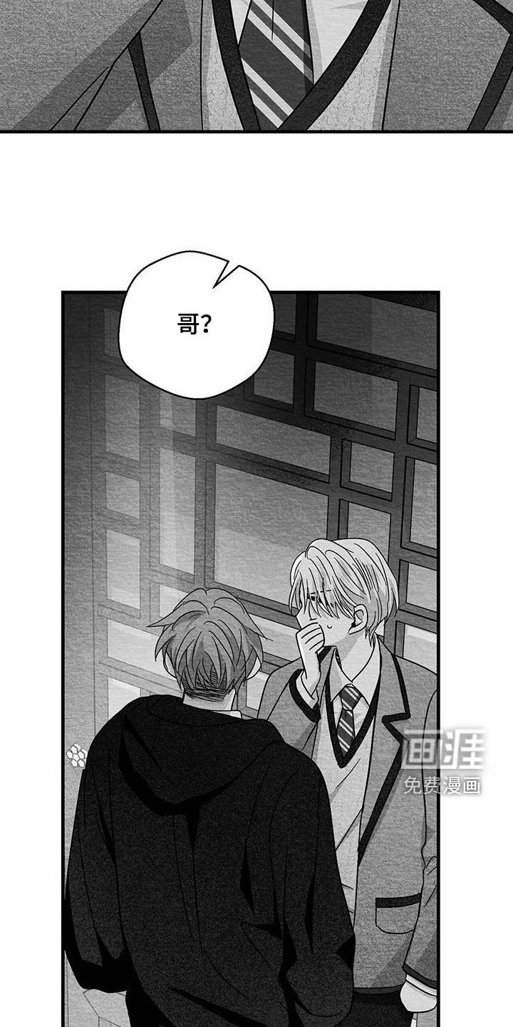 第66章：太混乱了