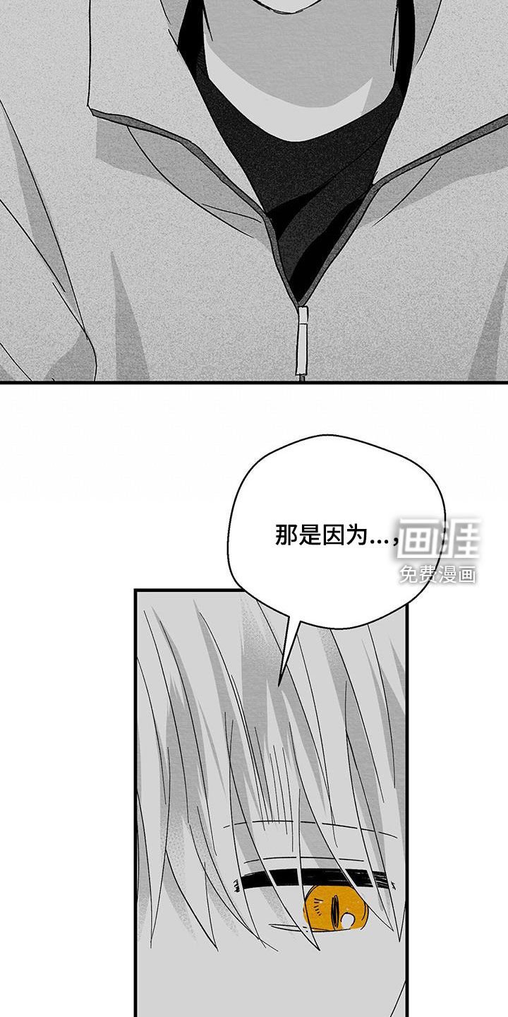 第67章：运气好