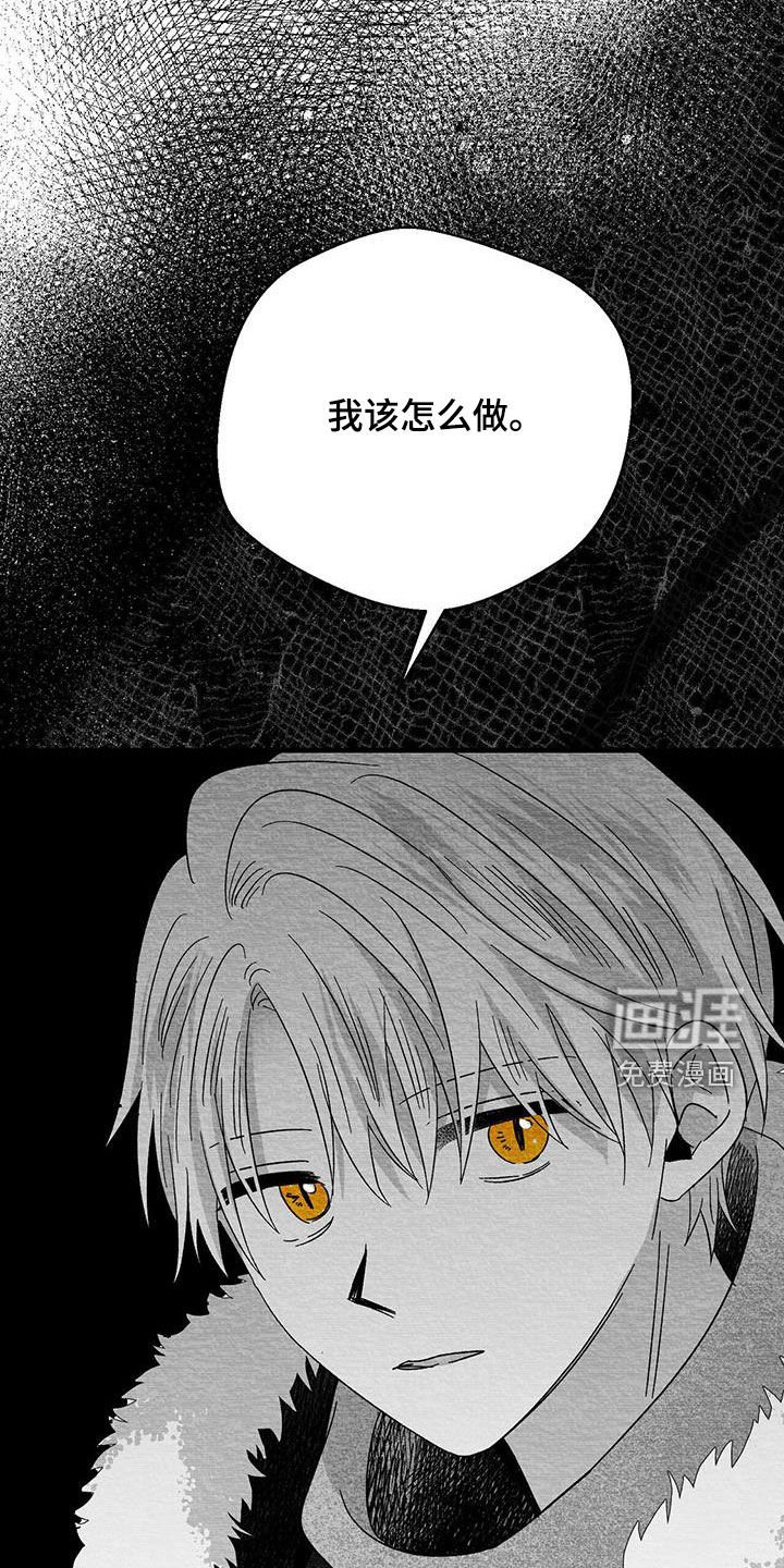 第73章：我很奇怪嘛