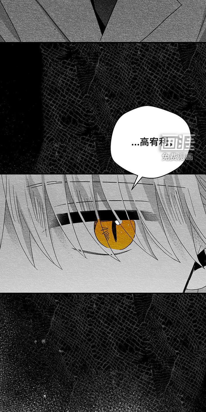 第73章：我很奇怪嘛