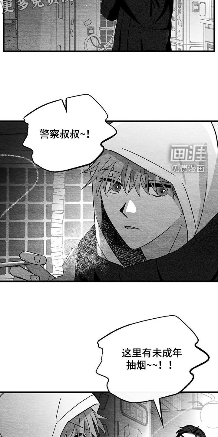 第73章：我很奇怪嘛