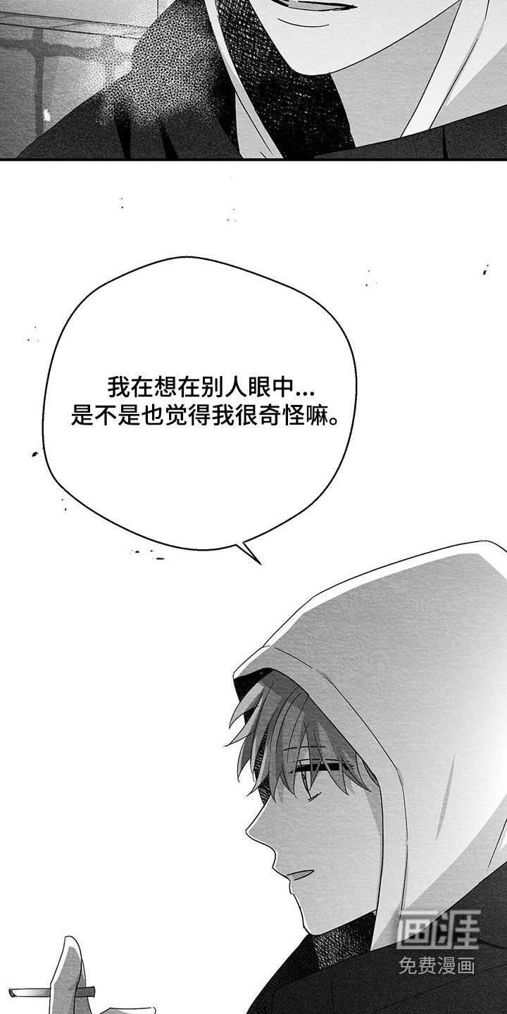 第73章：我很奇怪嘛