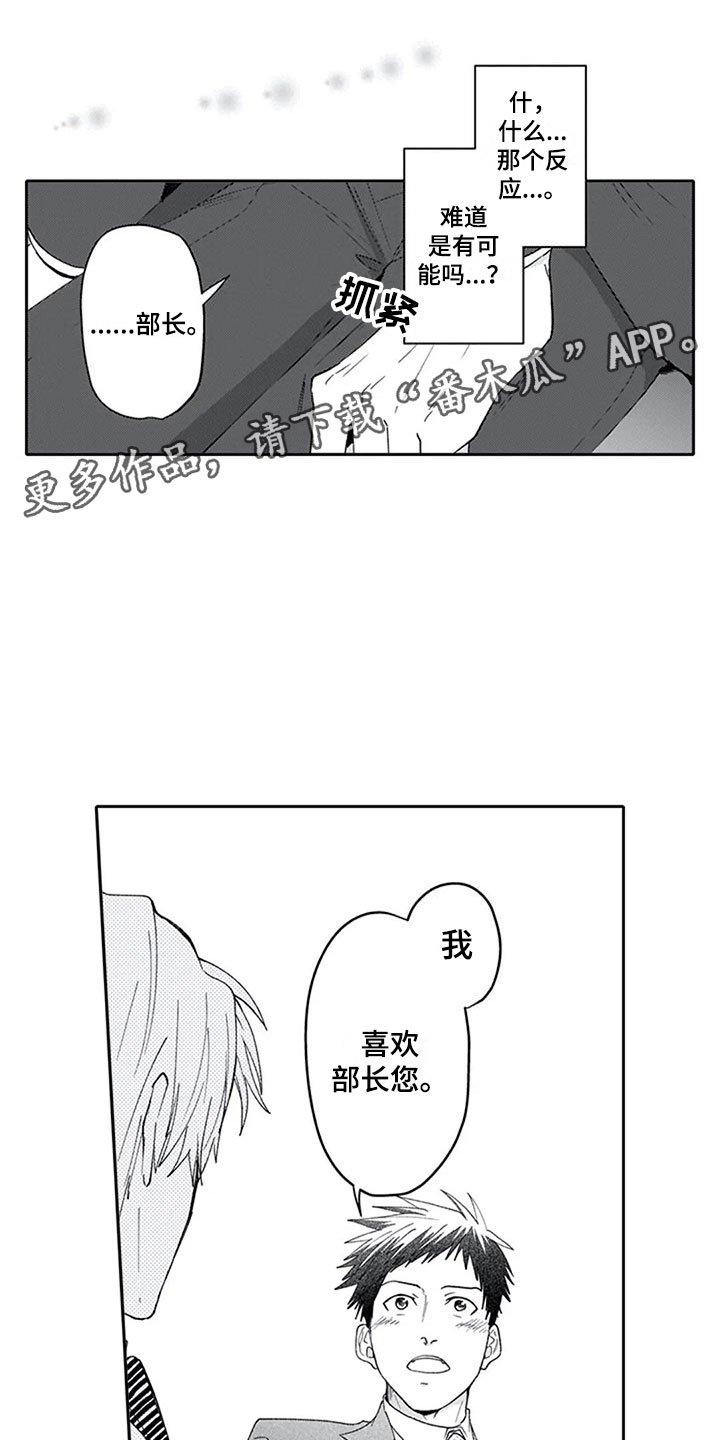第16章：混淆