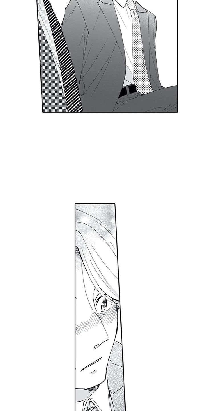 第16章：混淆