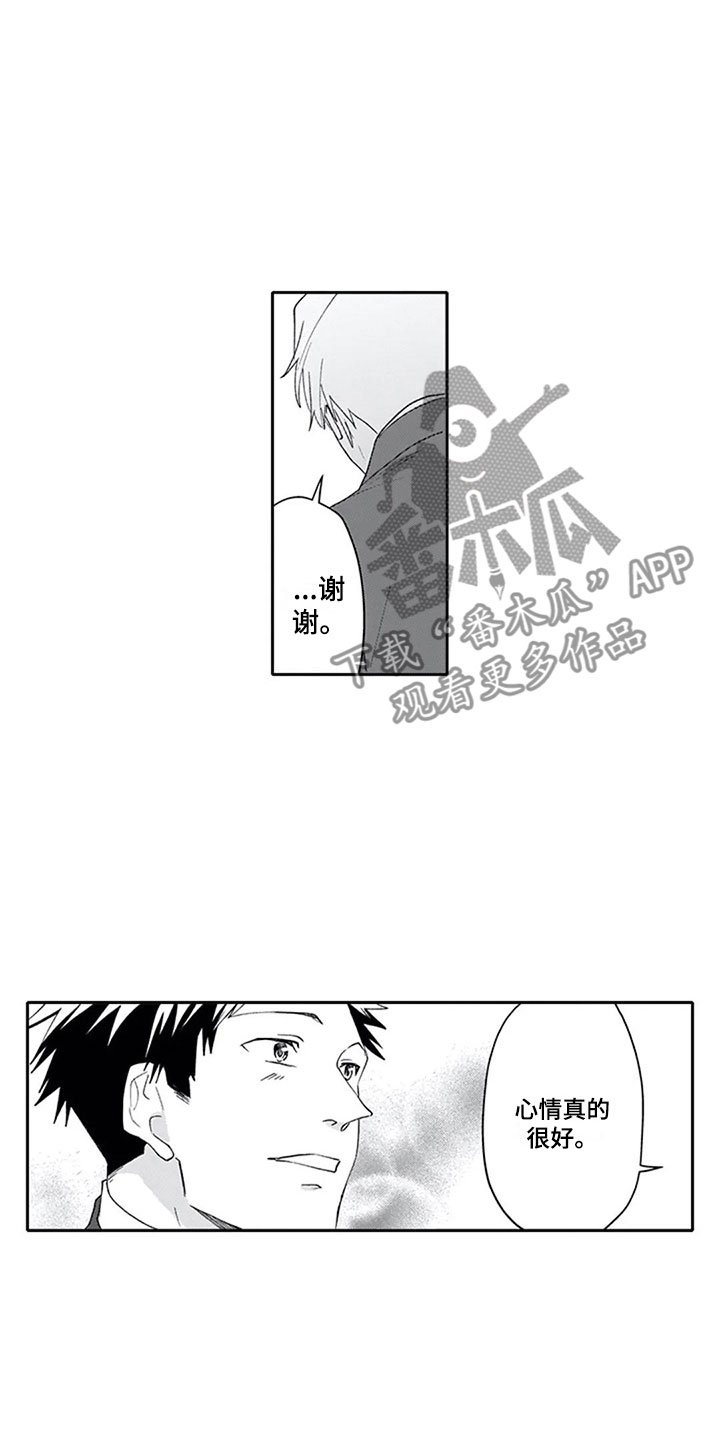 第16章：混淆
