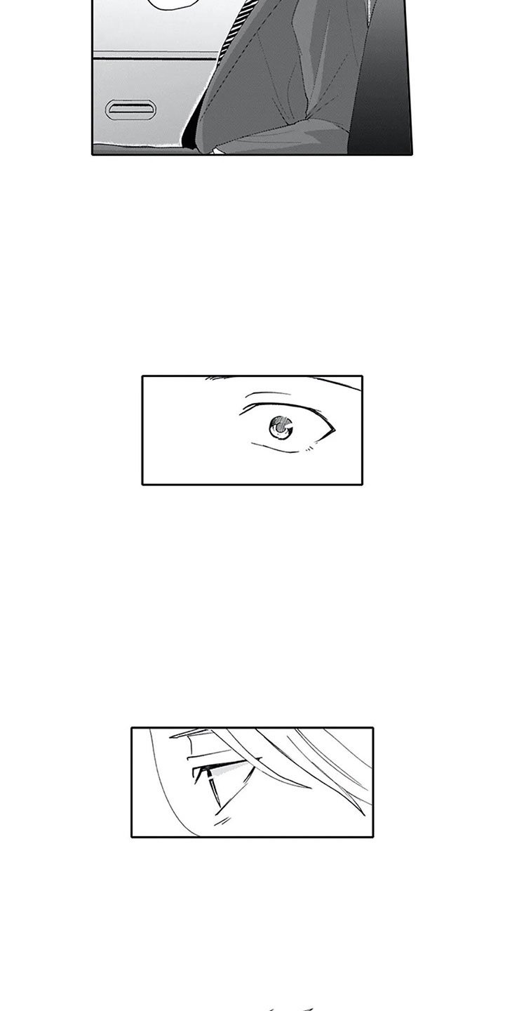 第16章：混淆