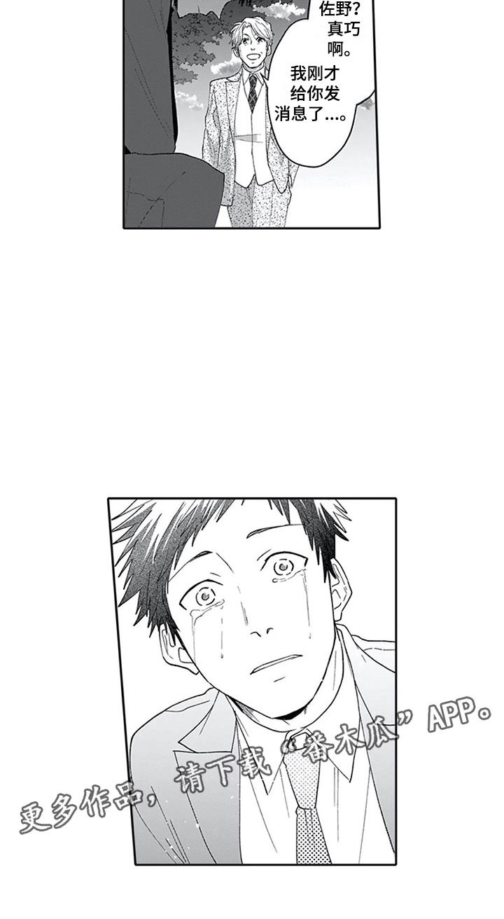 第16章：混淆