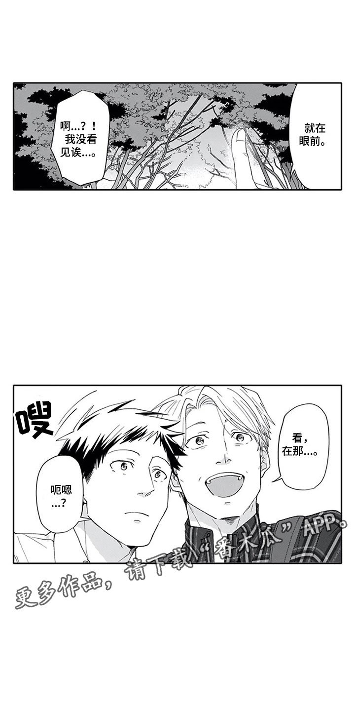 第7章：观察