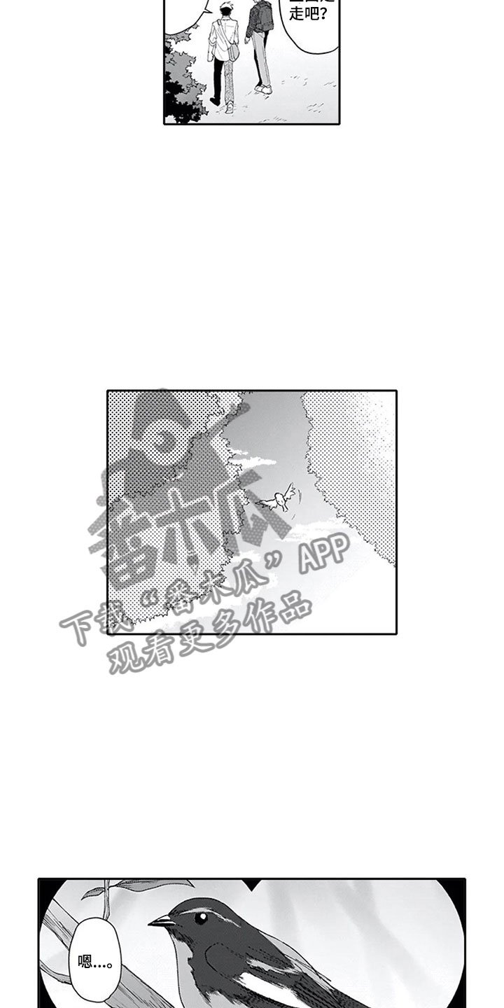 第7章：观察