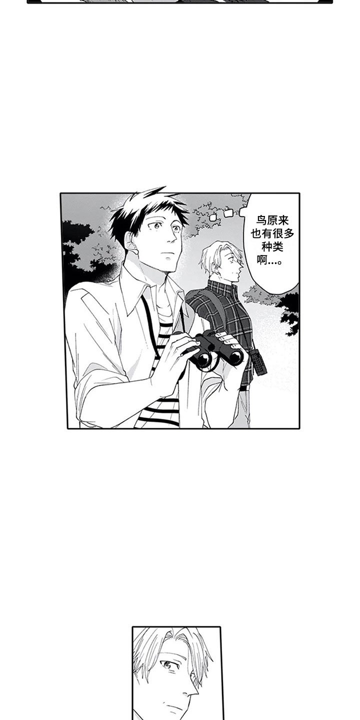 第7章：观察