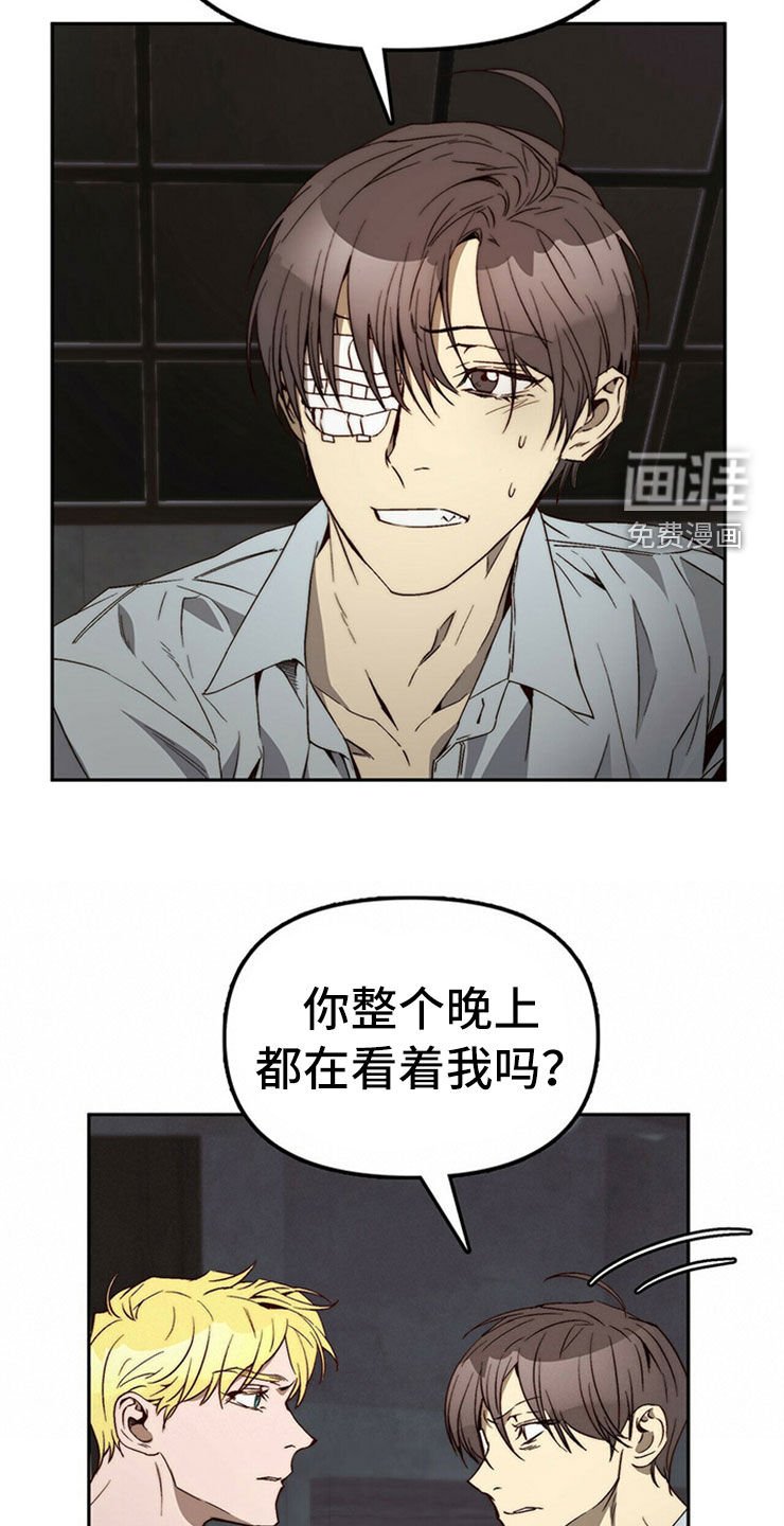 第29章：重新投胎