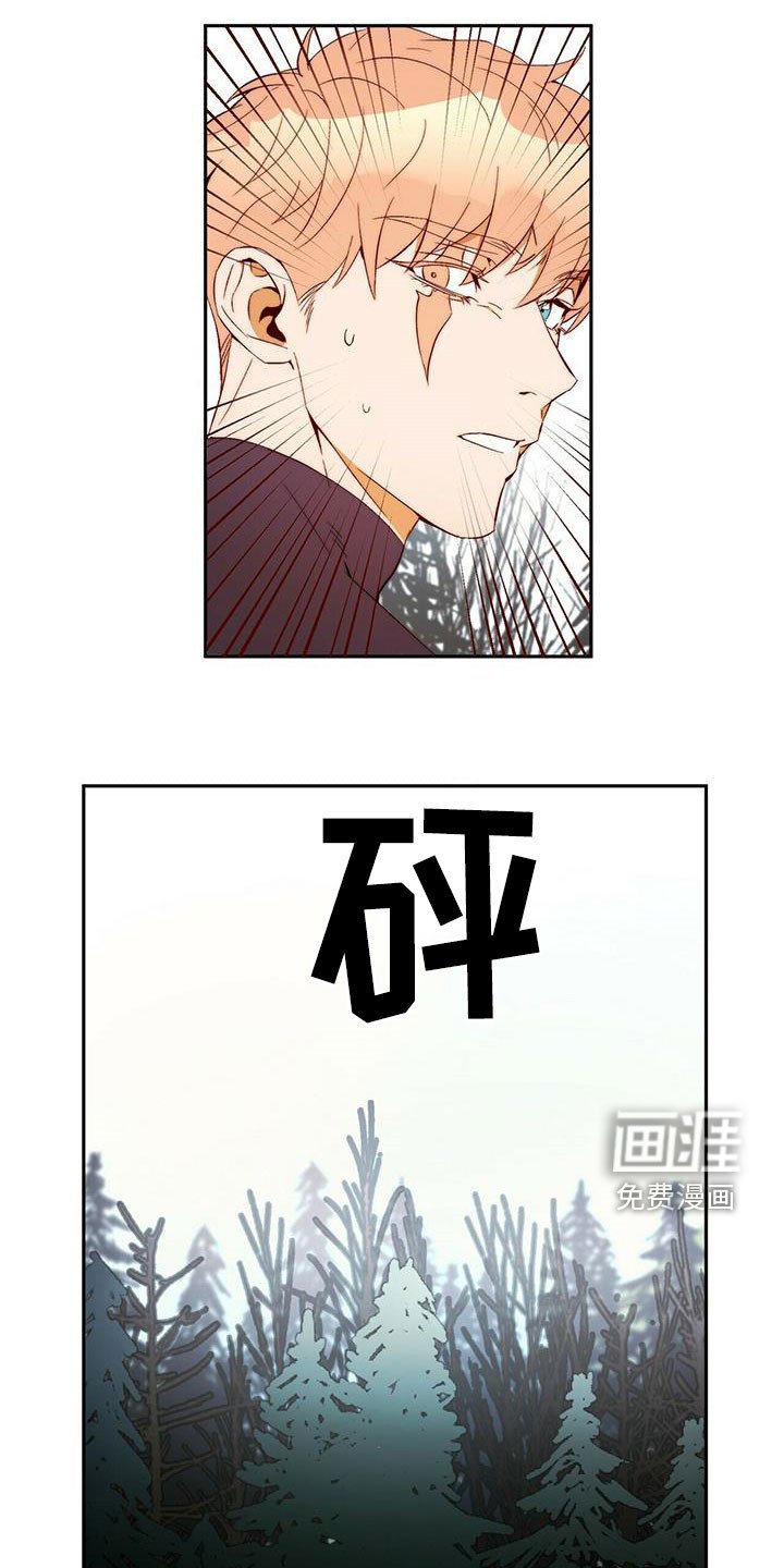 第41章：除掉你