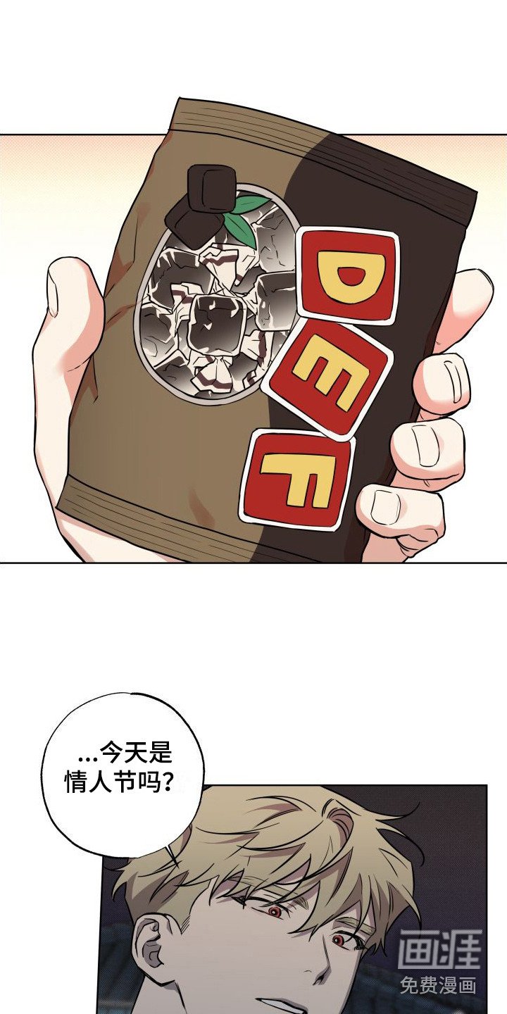 第19章：回报（完结）
