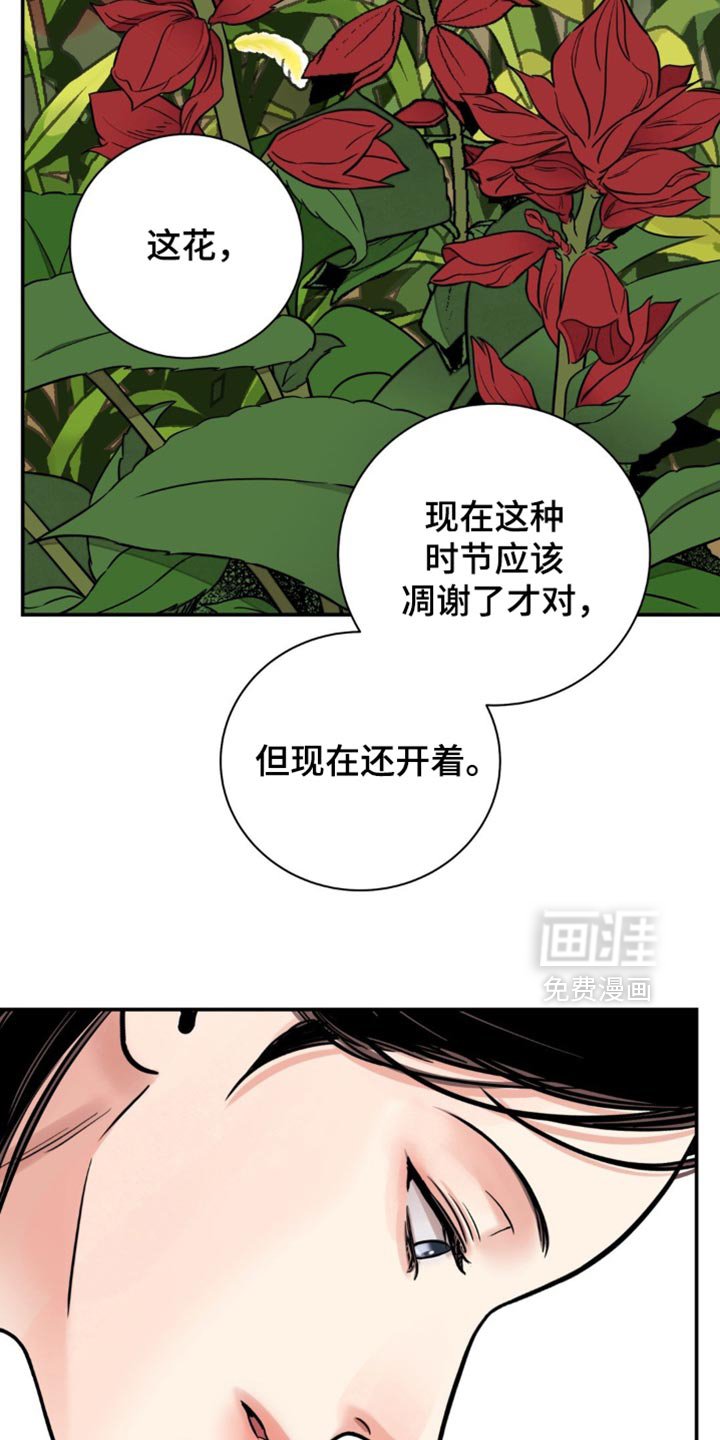 第114章：【第二季】腐烂的绳子