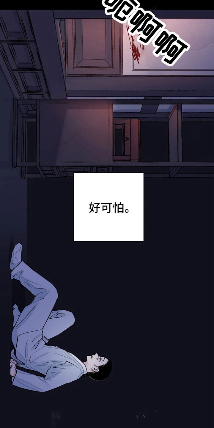 第17章：阴影