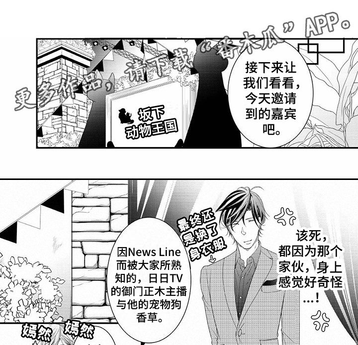 第17章：胡思乱想
