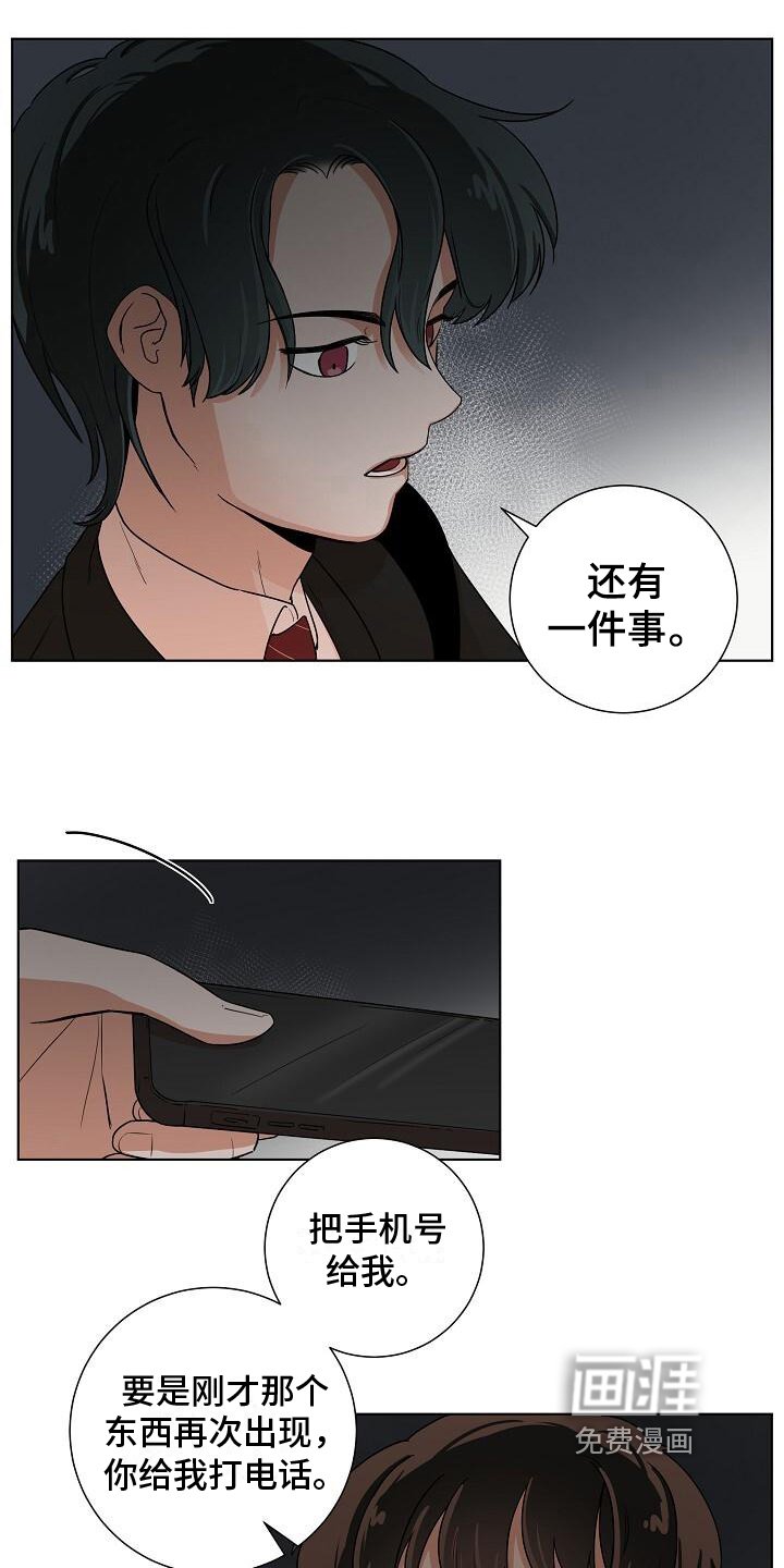 第5章：护送回家