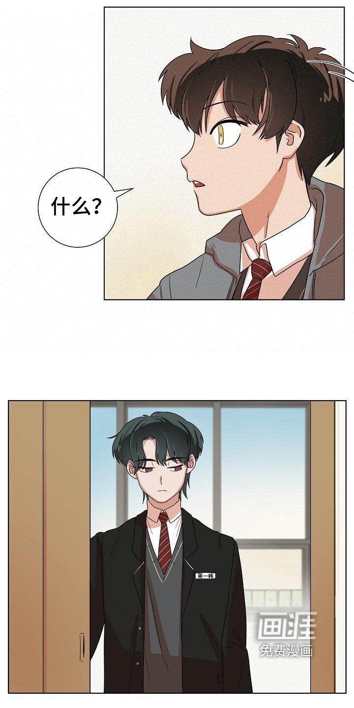 第7章：关注