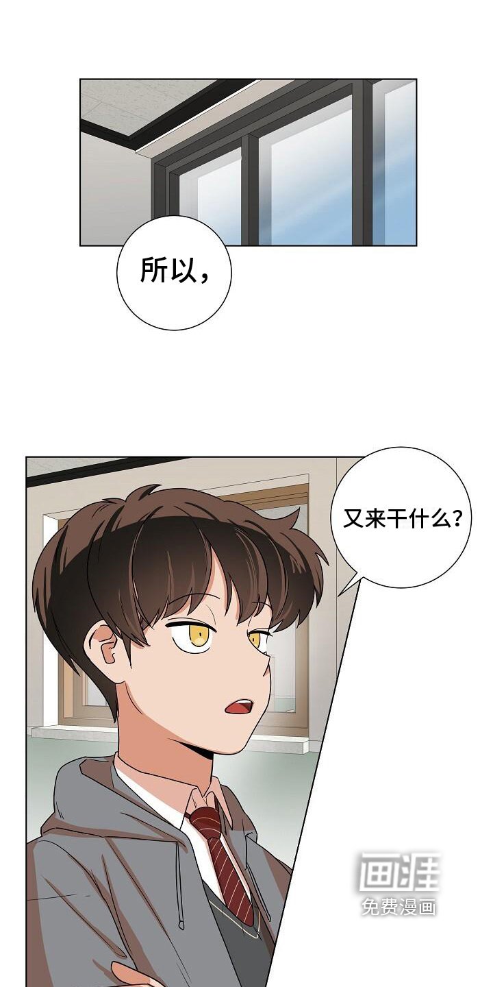 第7章：关注