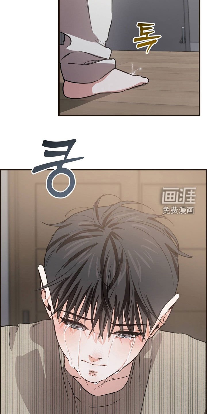 第17章：道歉
