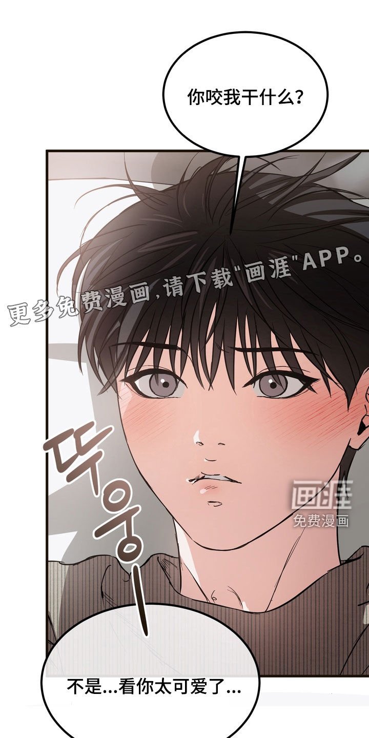 第20章：不敢相信
