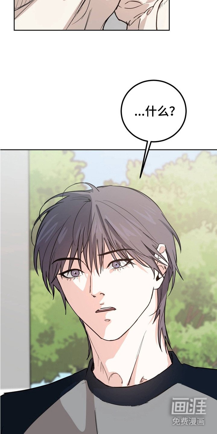第6章：小狗一样