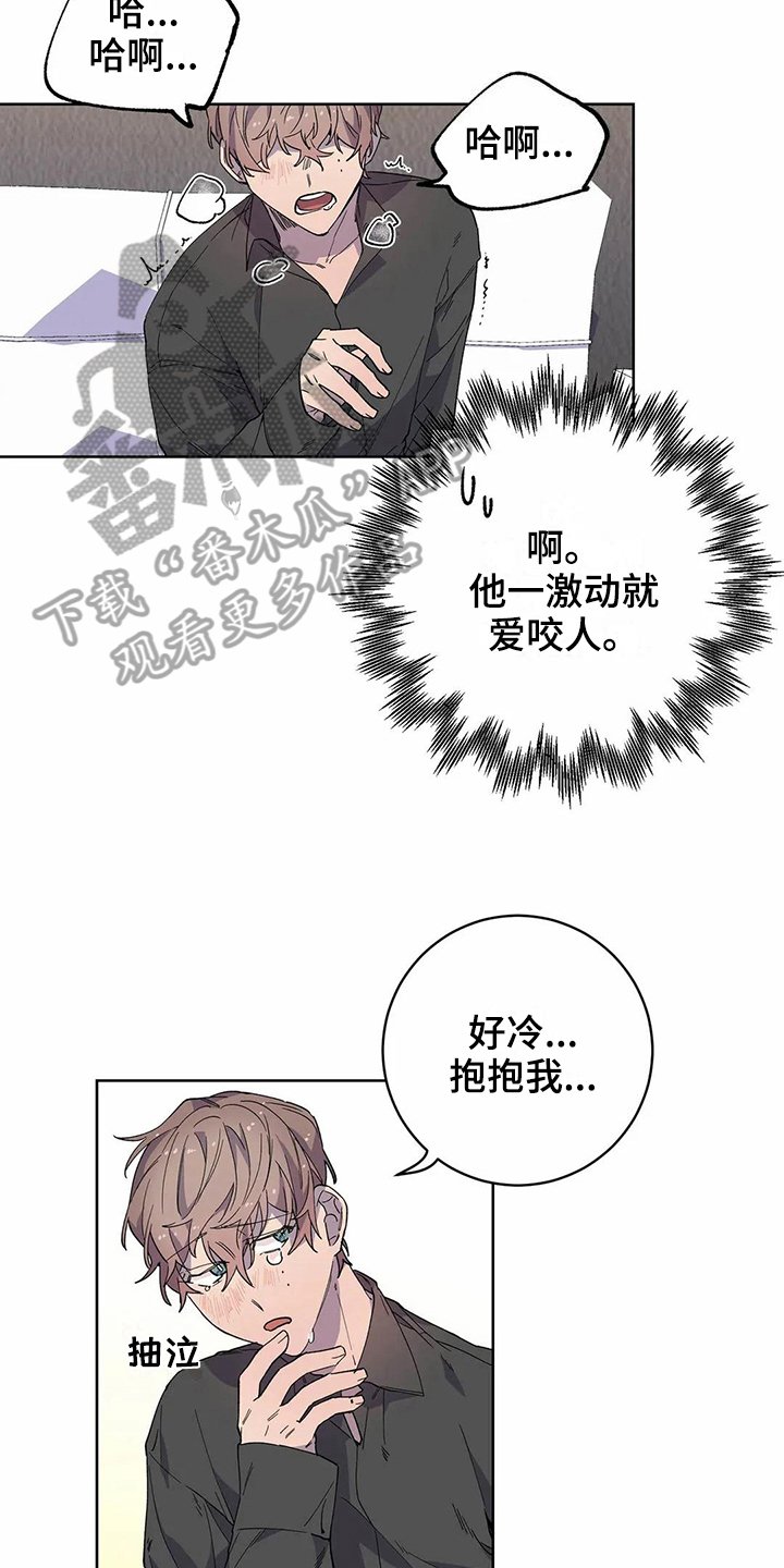 第20章：猜测