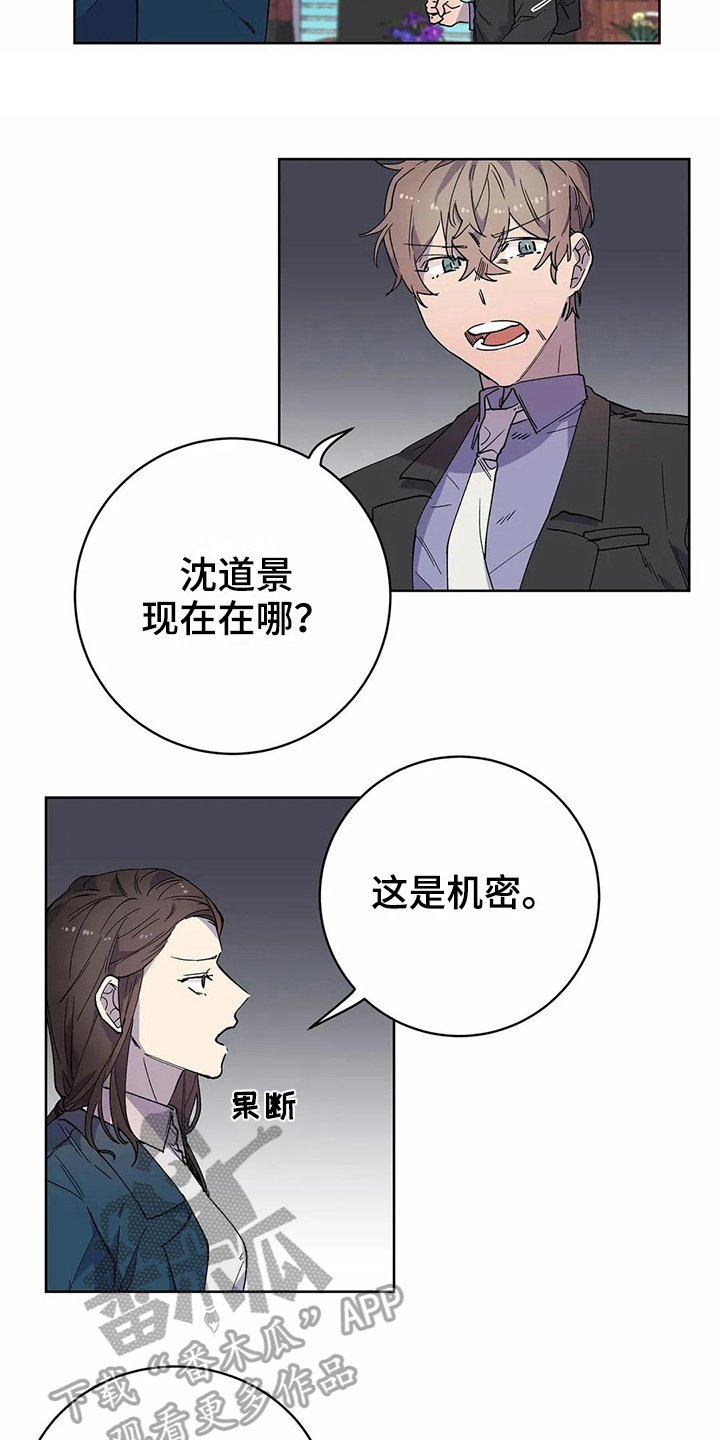 第20章：猜测