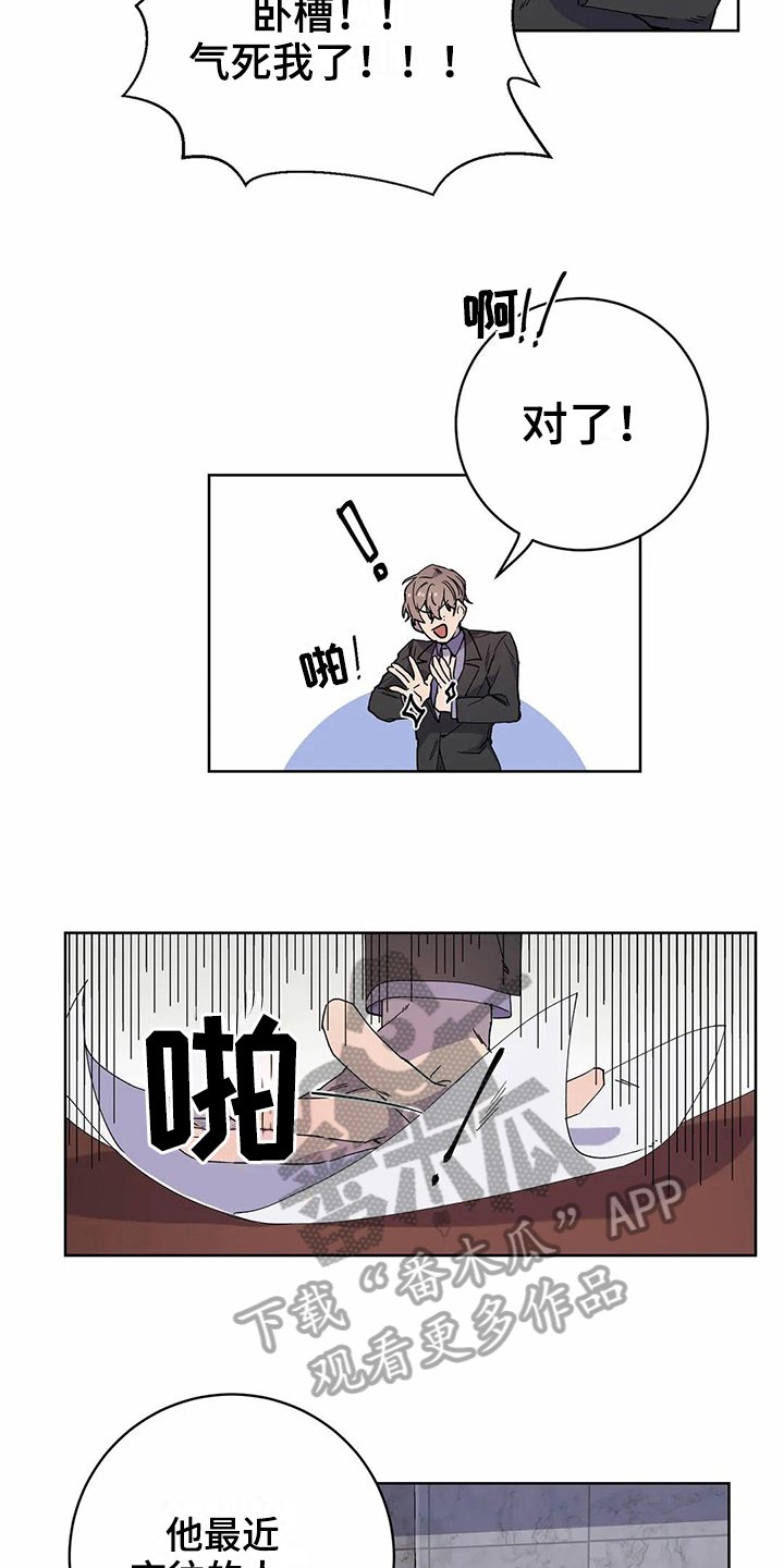 第20章：猜测
