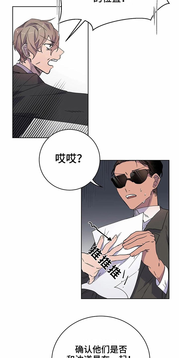 第20章：猜测