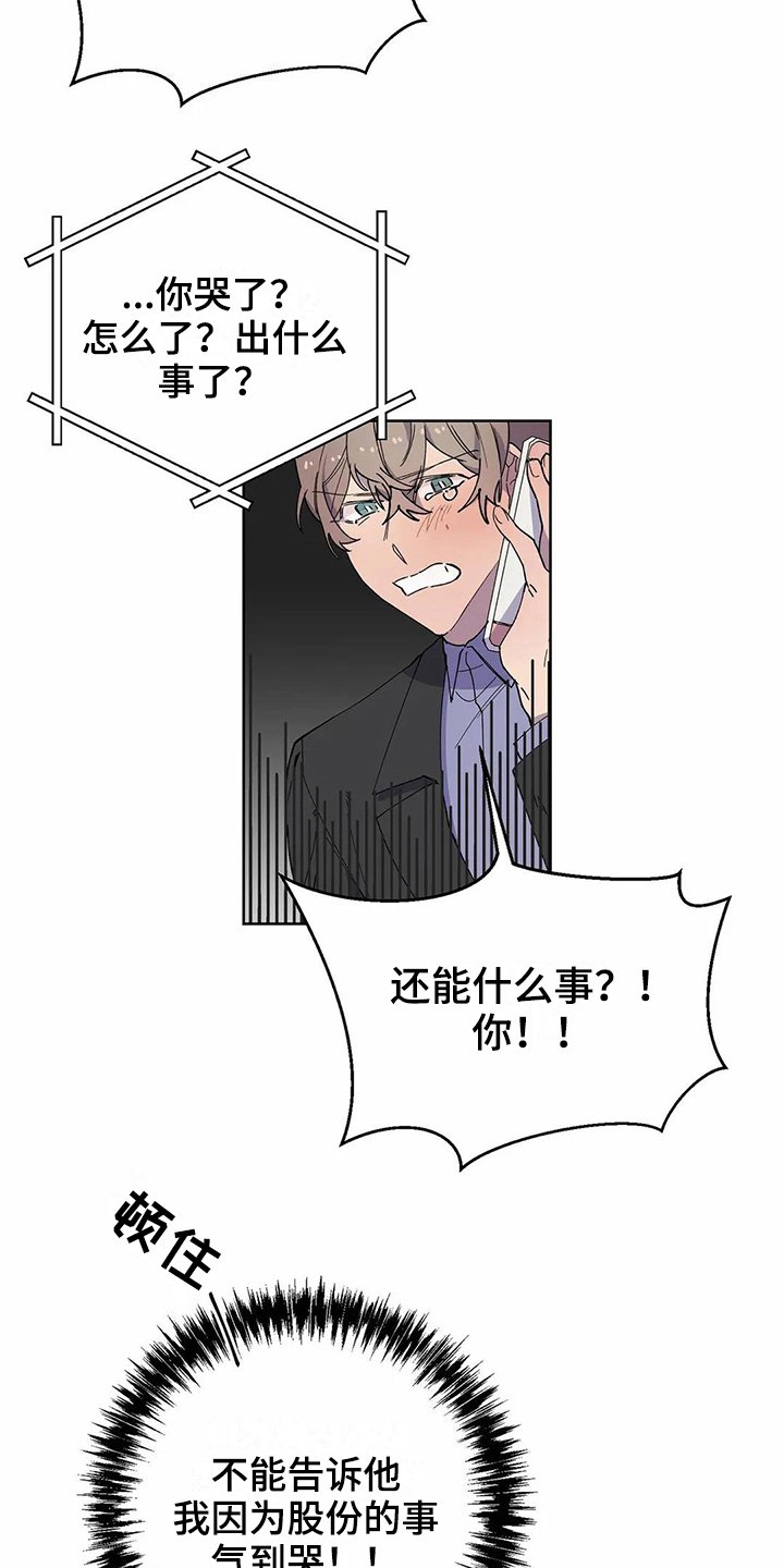 第21章：电话