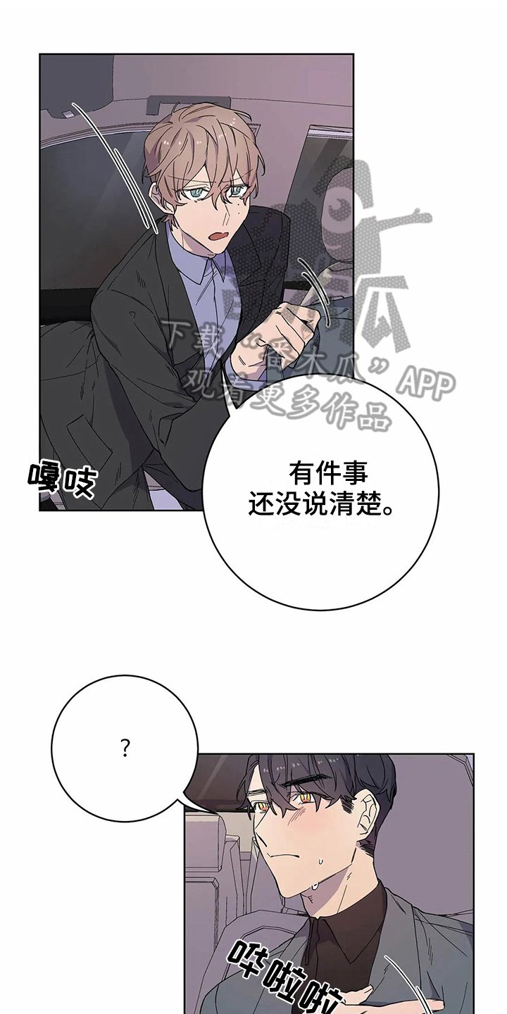 第24章：伴侣