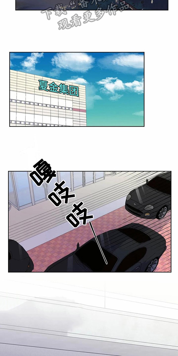 第24章：伴侣