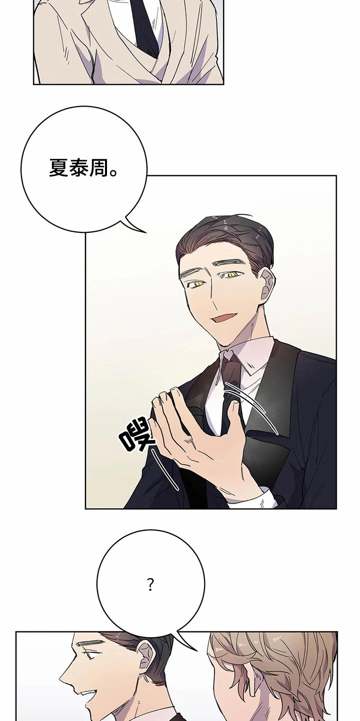 第24章：伴侣