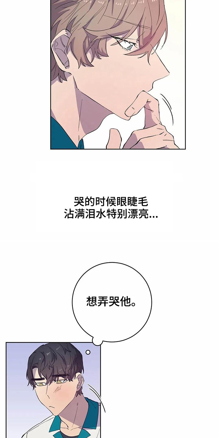 第27章：吸引力