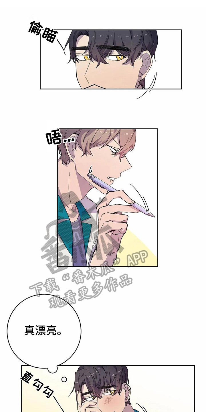 第28章：密码