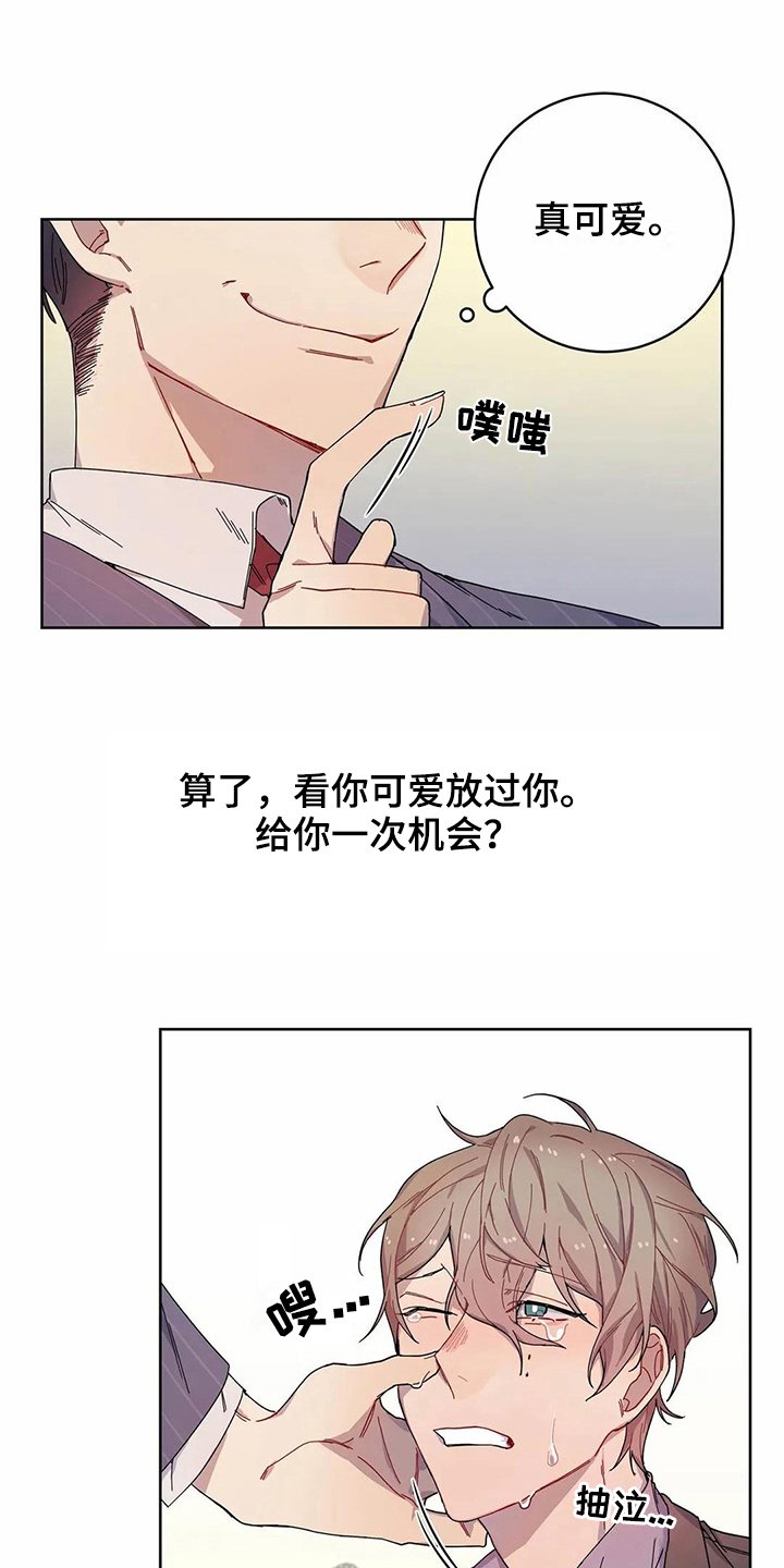 第8章：提示