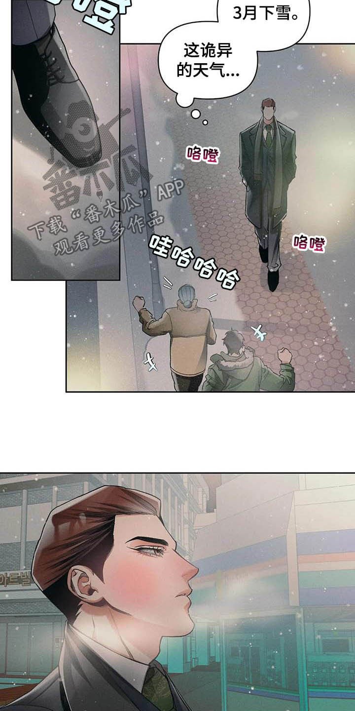 第13章：主意