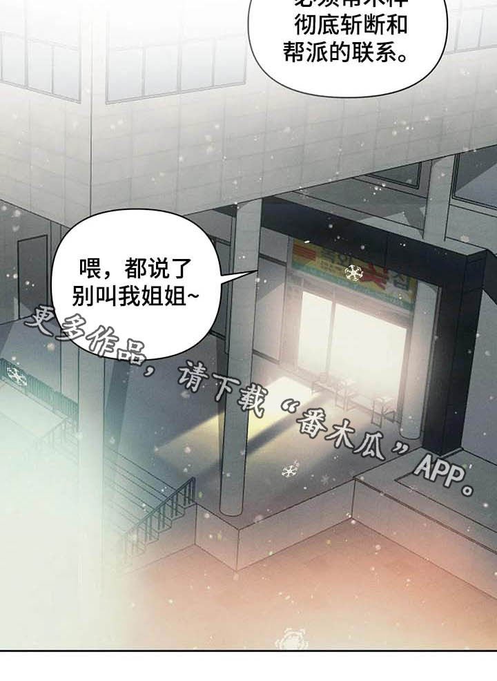 第13章：主意