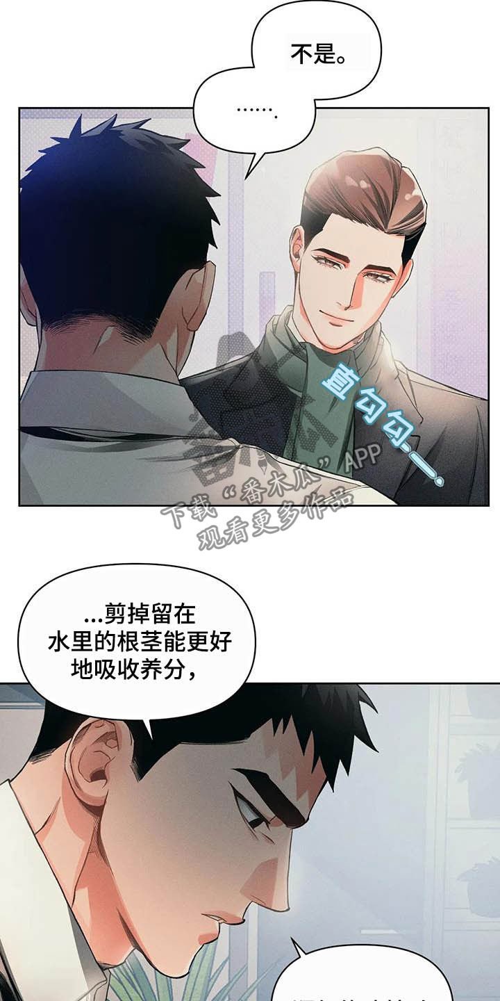 第16章：问好