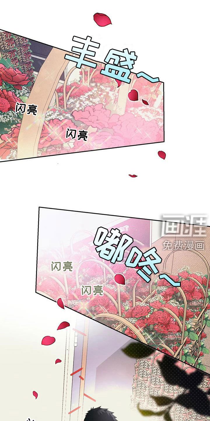 第28章：兄弟