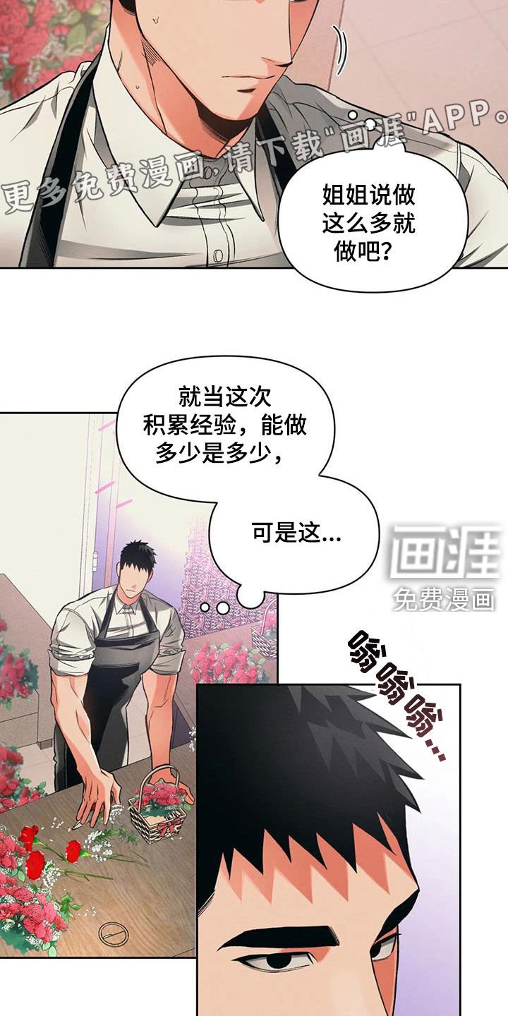 第28章：兄弟