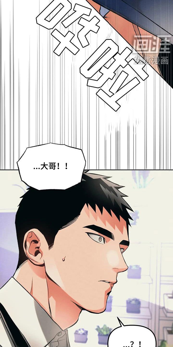 第28章：兄弟