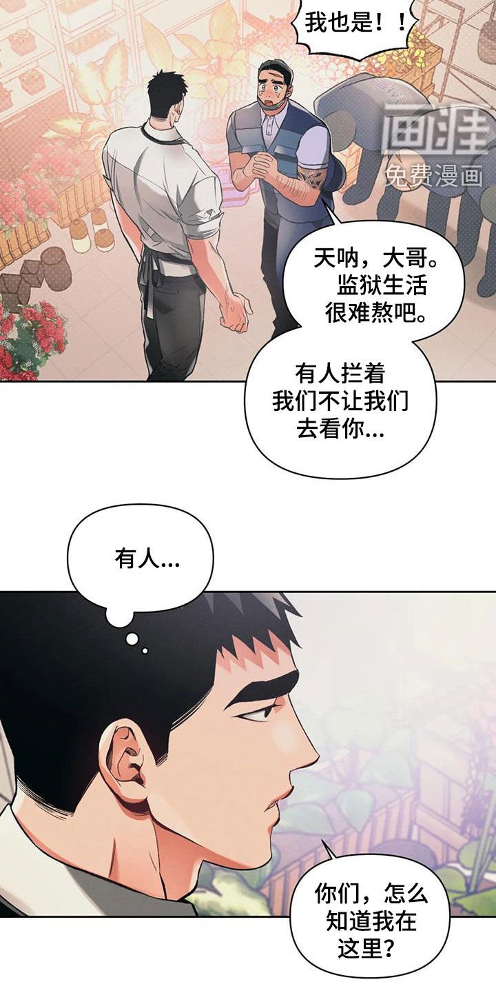 第28章：兄弟