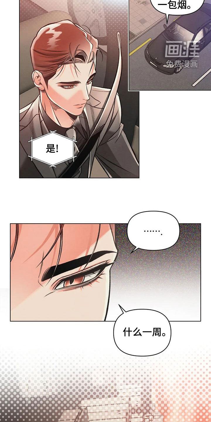 第61章：单独行动