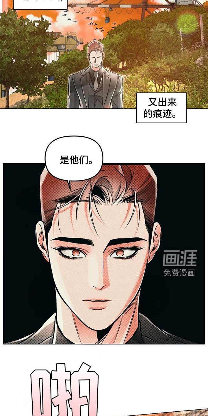 第62章：冲动