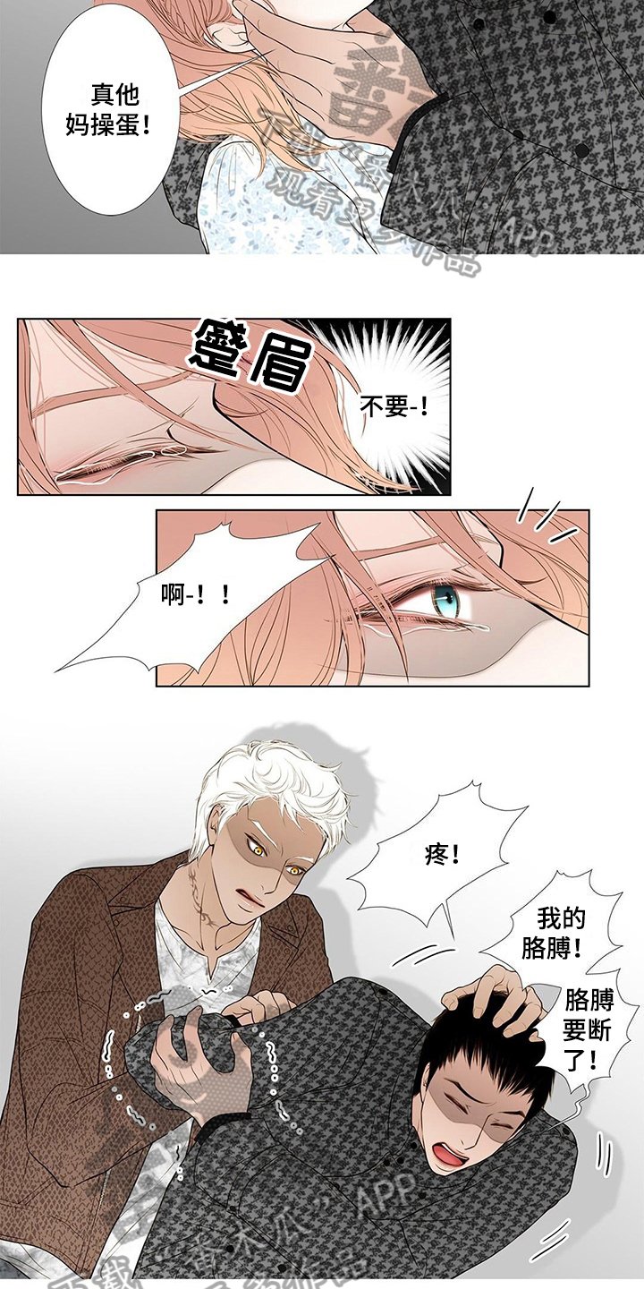 第19章：表白