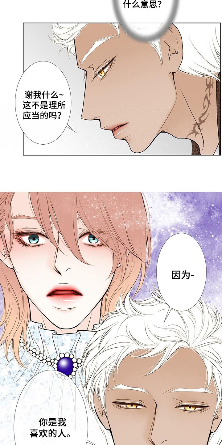 第19章：表白
