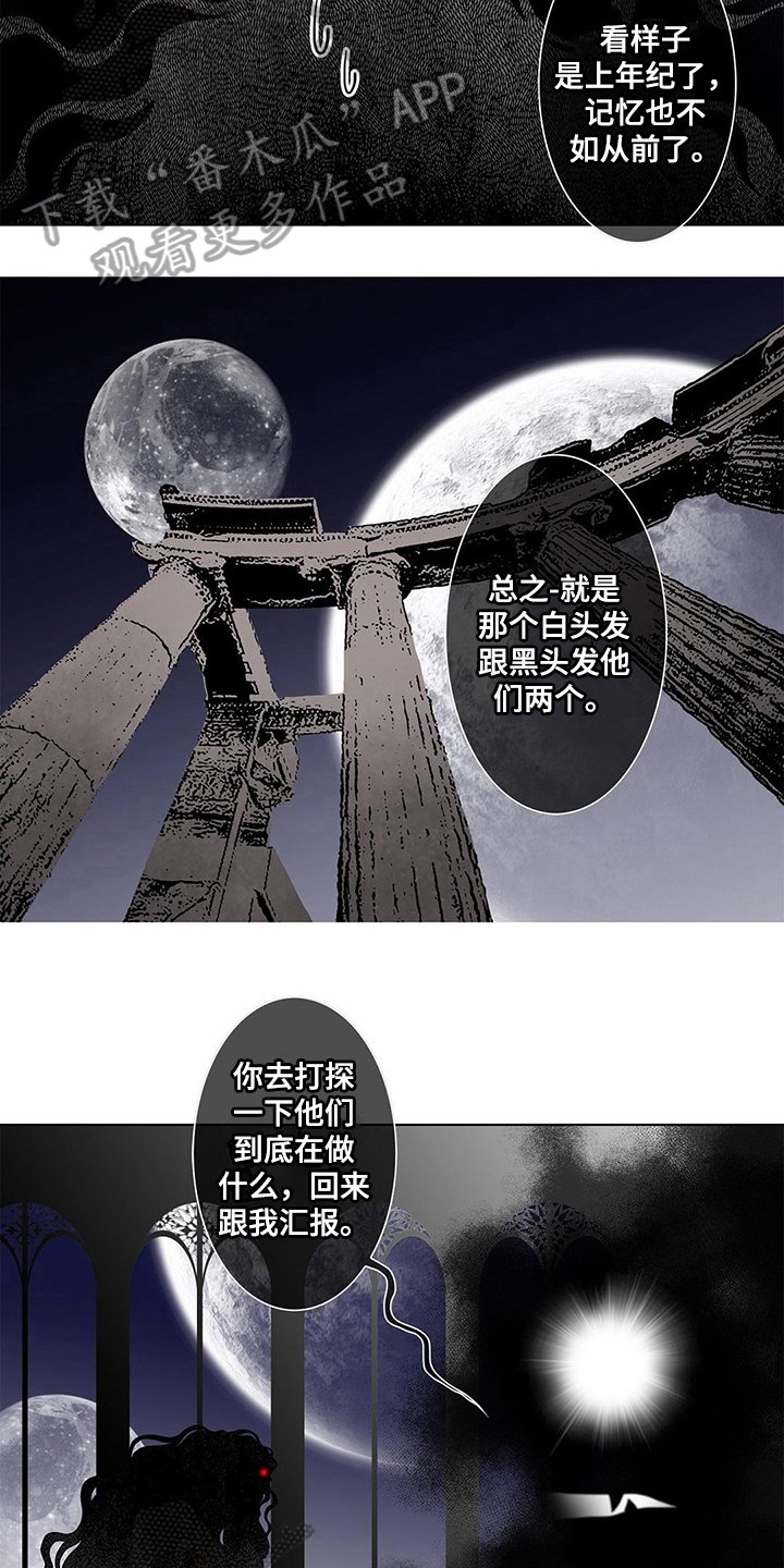 第22章：命令